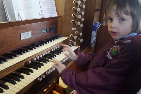 Harry Organ Harry Organ